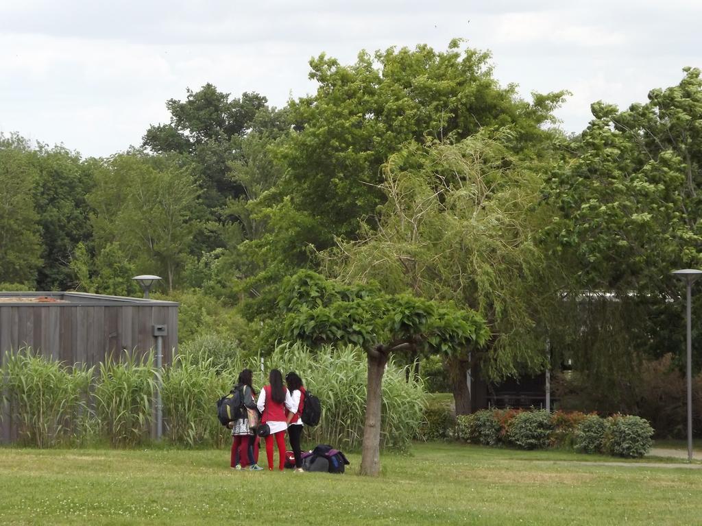 Domaine D'ariane 3* Mondonville
