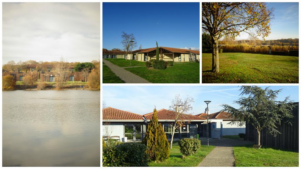 Domaine D'ariane Mondonville